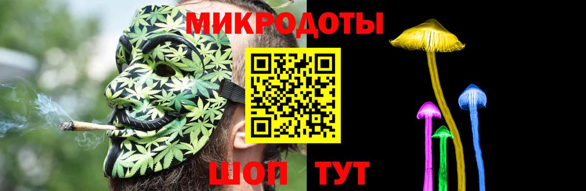Галлюциногенные грибы Psilocybe Новочеркасск